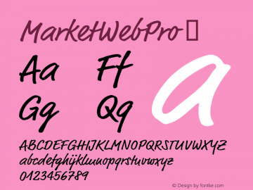 ☞MarketWebPro Version 7.504; 2012; Build 1022;com.myfonts.easy.fontfont.ff-market.pro-regular.wfkit2.version.4oLJ图片样张