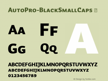 ☞Auto Pro Black SmCp Version 2.502 (MyFonts 2017.04);com.myfonts.easy.underware.auto-pro.black-small-caps.wfkit2.version.4Mzs图片样张