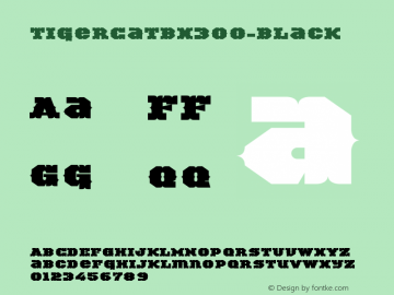 ☞TigerCat BX 300 Black Version 001.000;com.myfonts.easy.activesphere.tigercat.bx-300.wfkit2.version.4h8B图片样张