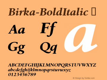 ☞Birka Bold Italic Version 2.01;com.myfonts.easy.linotype.birka.bold-italic.wfkit2.version.3HAn图片样张