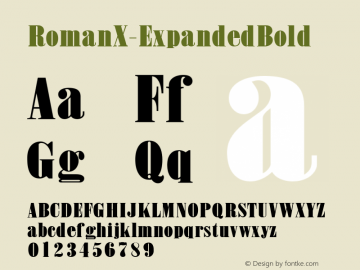 ☞RomanX Expanded Bold Version 001.000;com.myfonts.easy.woodentypefonts.roman-x.expanded.wfkit2.version.4kQD图片样张