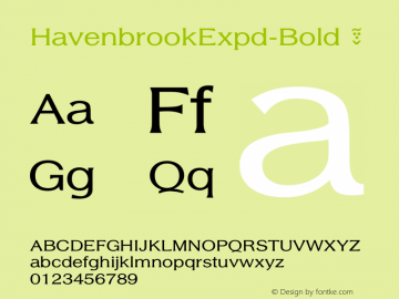☞Havenbrook 8 Expd Bold Version 1.308 2007;com.myfonts.aah-yes.havenbrook.8-expd-bold.wfkit2.2VAj图片样张