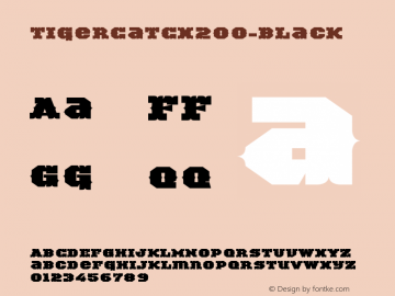 ☞TigerCat CX 200 Black Version 001.000;com.myfonts.easy.activesphere.tigercat.cx-200.wfkit2.version.4h8Q图片样张
