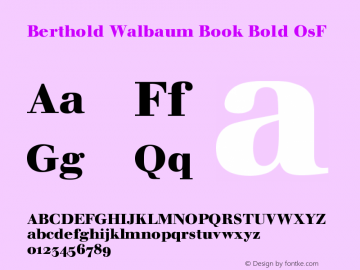 WalbaumBook-BoldOsF OTF 1.0;PS 001.001;Core 1.0.22图片样张