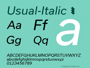 ☞Usual-Italic Version 1.001;com.myfonts.easy.r-type.usual.italic.wfkit2.version.4vR8图片样张