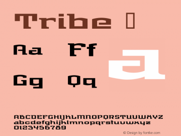 ☞Tribe Macromedia Fontographer 4.1.5 8/2/02;com.myfonts.t26.tribe.tribe.wfkit2.QFk图片样张