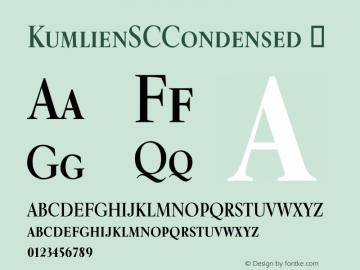 ☞Kumlien SC Condensed Version 1.000;com.myfonts.canadatype.kumlien-pro.sc-condensed.wfkit2.3BeW图片样张