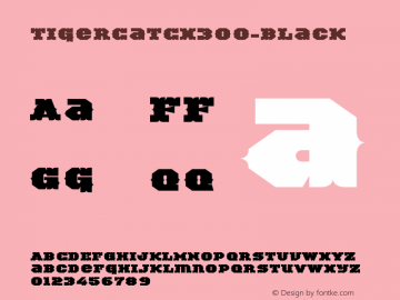 ☞TigerCat CX 300 Black Version 001.000;com.myfonts.easy.activesphere.tigercat.cx-300.wfkit2.version.4h8R图片样张