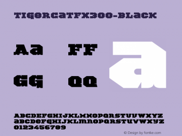 ☞TigerCat FX 300 Black Version 001.000;com.myfonts.easy.activesphere.tigercat.fx-300.wfkit2.version.4ha2图片样张