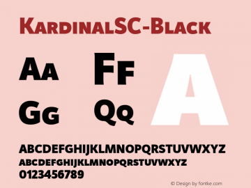 ☞KardinalSC-Black Version 1.000;com.myfonts.easy.lettersoup.kardinal.sc-black.wfkit2.version.4KtB图片样张