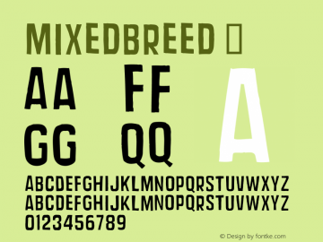 ☞Mixed Breed Macromedia Fontographer 4.1.3 9/13/01;com.myfonts.typeart.mixed-breed.regular.wfkit2.36th图片样张