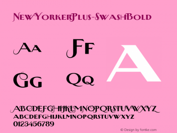 ☞NewYorkerPlus-SwashBold Version 001.001;com.myfonts.easy.wiescherdesign.new-yorker-plus.swash-bold.wfkit2.version.3EnM图片样张