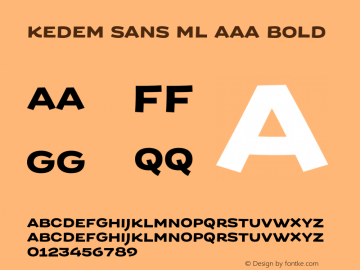 Kedem Sans ML AAA Bold Version 1.010;FEAKit 1.0图片样张