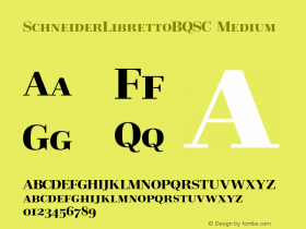 SchneiderLibrettoBQSC-Medium 001.001图片样张