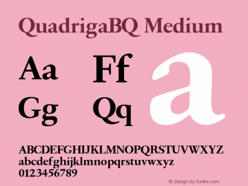 QuadrigaBQ-Medium 001.001图片样张