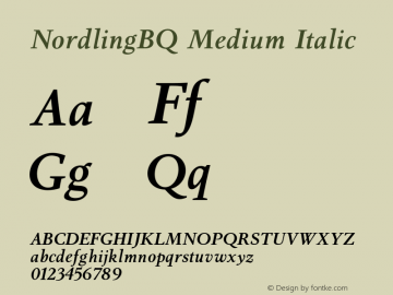 NordlingBQ-MediumItalic 001.001图片样张