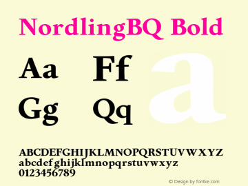 NordlingBQ-Bold 001.001图片样张