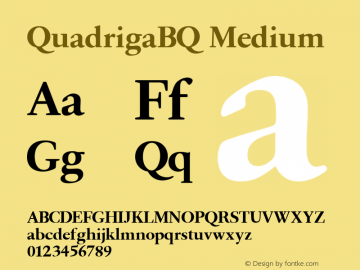 QuadrigaBQ Medium 001.001图片样张