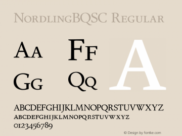 NordlingBQSC Regular 001.001图片样张