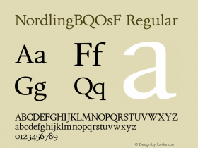 NordlingBQOsF Regular 001.001图片样张