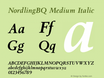 NordlingBQ Medium Italic 001.001图片样张