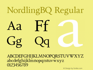 NordlingBQ Regular 001.001图片样张