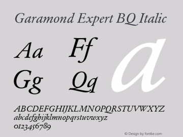 Garamond (R) Expert Italic OsF 001.000图片样张