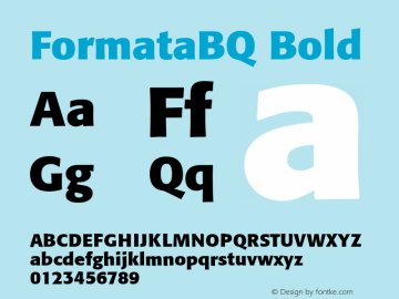 FormataBQ Bold 001.001图片样张