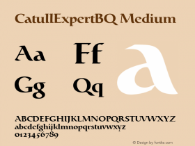 CatullExpertBQ Medium 001.000图片样张