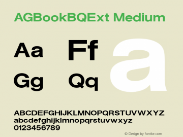 AGBookBQExt Medium 001.001图片样张