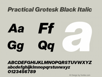 Practical Grotesk Black Italic Version 2.000;FEAKit 1.0图片样张