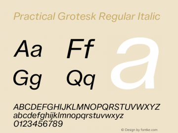 Practical Grotesk Regular Italic Version 2.000;FEAKit 1.0图片样张