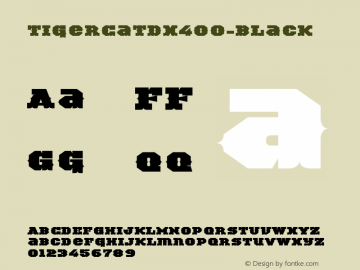 ☞TigerCat DX 400 Black Version 001.000;com.myfonts.easy.activesphere.tigercat.dx-400.wfkit2.version.4h9s图片样张