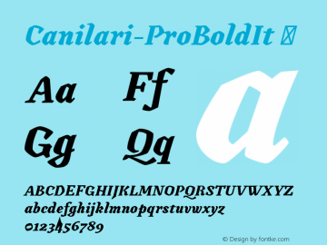 ☞Canilari-ProBoldIt Version 1.001;PS 001.001;hotconv 1.0.88;makeotf.lib2.5.64775;com.myfonts.easy.latinotype.canilari.pro-bold-italic.wfkit2.version.4BWF图片样张