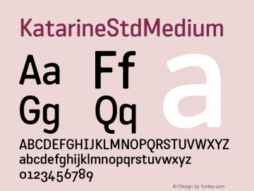 ☞KatarineStdMedium Version 1.002;com.myfonts.easy.suitcase.katarine.std-medium.wfkit2.version.2ZRq图片样张