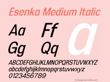 Esenka-MediumItalic Version 1.001;Fontself Maker 3.5.4图片样张