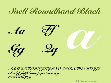Snell Roundhand Black 10.0d4e1图片样张