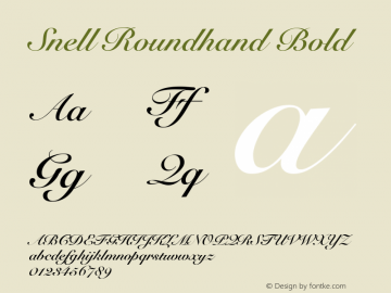 Snell Roundhand Bold 10.0d4e1图片样张