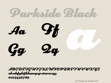 Parkside Black Version 1.007; ttfautohint (v1.8)图片样张