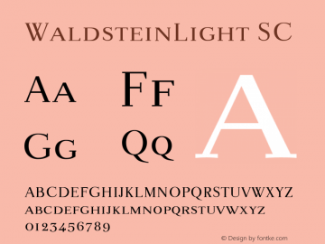 WaldsteinLight-SC Version 001.000图片样张