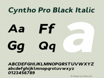 CynthoPro-BlackItalic Version 1.000 | wf图片样张