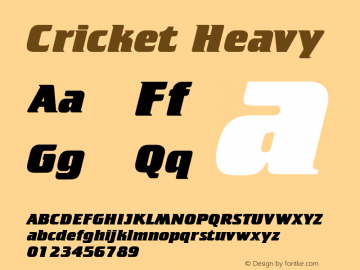 Cricket Heavy Version 1.0; 51456; initial release图片样张