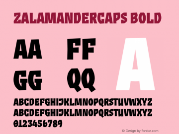 ZalamanderCaps-Bold Version 1.000;PS 001.000;hotconv 1.0.49;makeotf.lib2.0.14853图片样张