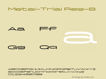 Metal-Trial Reg-8 Version 1.000;hotconv 1.0.109;makeotfexe 2.5.65596图片样张