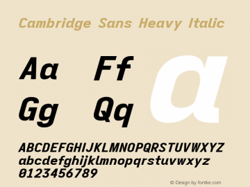 Cambridge Sans Heavy Italic Version 11.2.2; ttfautohint (v1.8.4)图片样张