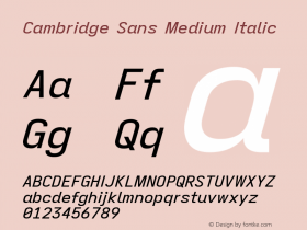 Cambridge Sans Medium Italic Version 11.2.2; ttfautohint (v1.8.4)图片样张