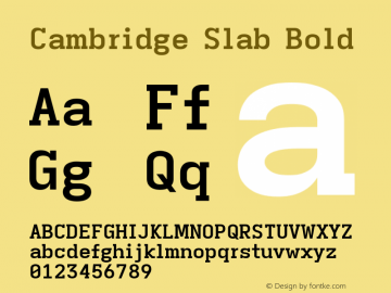 Cambridge Slab Bold Version 11.2.2; ttfautohint (v1.8.4)图片样张
