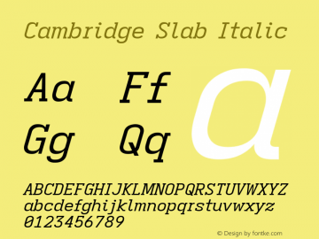 Cambridge Slab Italic Version 11.2.2; ttfautohint (v1.8.4)图片样张