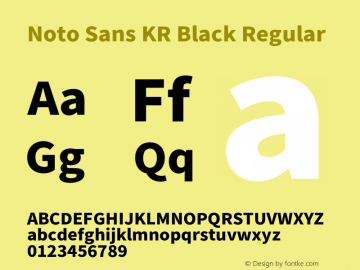 Noto Sans KR Black Version 2.002;hotconv 1.0.116;makeotfexe 2.5.65601图片样张