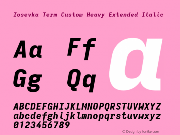 Iosevka Term Custom Heavy Extended Italic Version 11.2.2图片样张